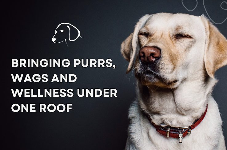 Elevating Pet Care with Bonbeno The Pawsome Store in South Bopal