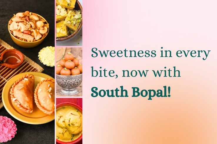 Savor the Sweetness of South Bopal at Gwalia Sweets: Your One-Stop Destination for Authentic Indian Mithai and Snacks
