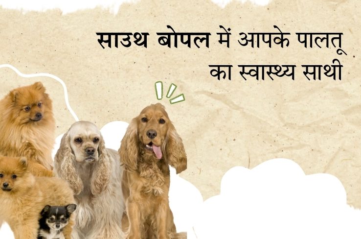 साउथ बोपल में पालतू जानवरों की सम्पूर्ण देखभाल – Dr. C.M.’s Pet Clinic आपके साथ हर कदम पर