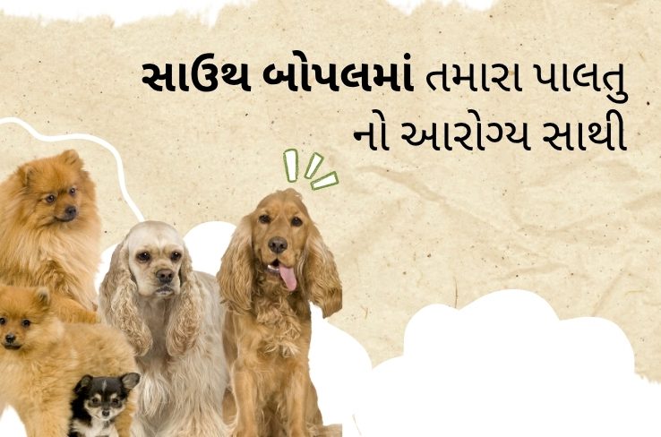 દક્ષિણ બોપલમાં પાળતુ જાનવરોની સંપૂર્ણ સંભાળ – – Dr. C.M.’s Pet Clinic તમારા દરેક પગલાએ તમારા સાથે