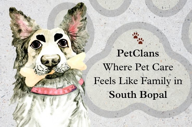 PetClans: Where Pet Care Feels Like Family