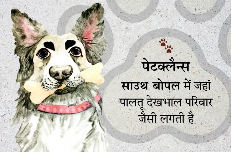PetClans: आपके पालतू जानवरों की सम्पूर्ण देखभाल का भरोसेमंद साथी
