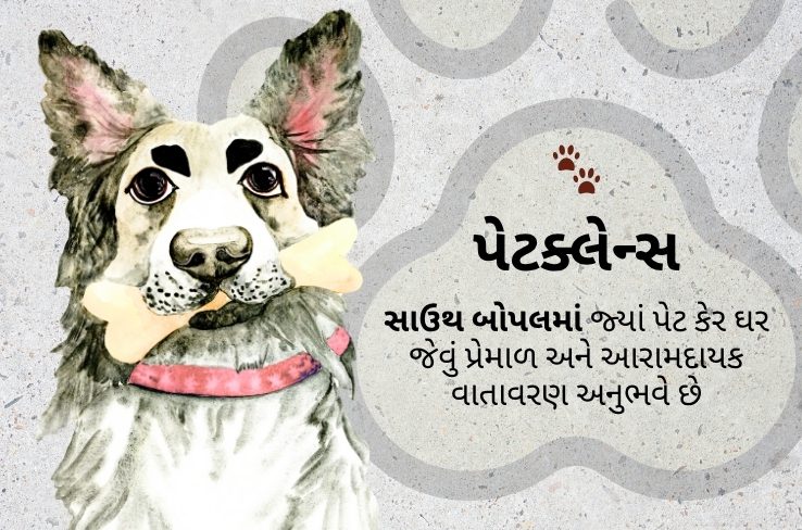 PetClans: દક્ષિણ બોપલમાં પાળતુ જાનવરો માટે વિશ્વસનીય સંભાળનું કેન્દ્ર